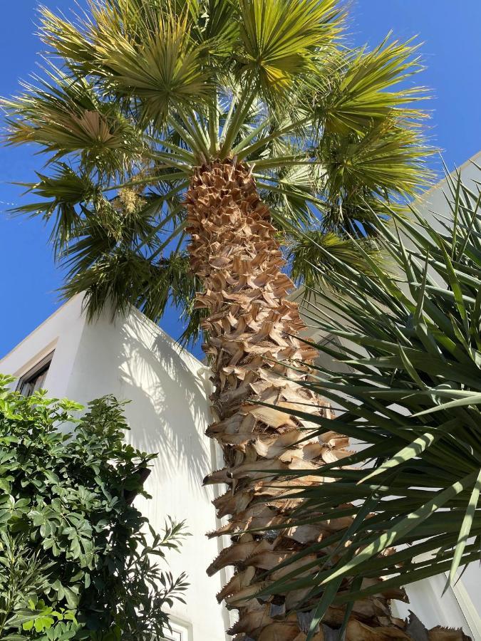 Villa Sezen Kalkan Eksteriør billede